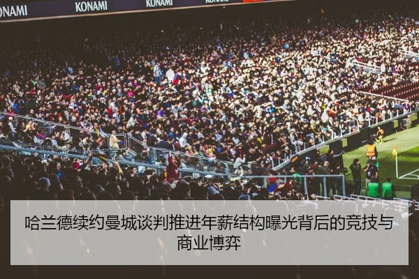 ha-lan-de-xu-yue-man-cheng-tan-pan-tui-jin-nian-xin-jie-gou-bao-guang-bei-hou-de-jing-ji-yu-shang-ye-bo-yi-3-277.jpg